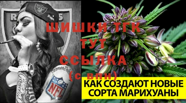 Альфа ПВП Магадан