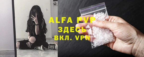Альфа ПВП Магадан