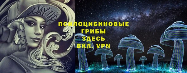 ALPHA PVP Билибино
